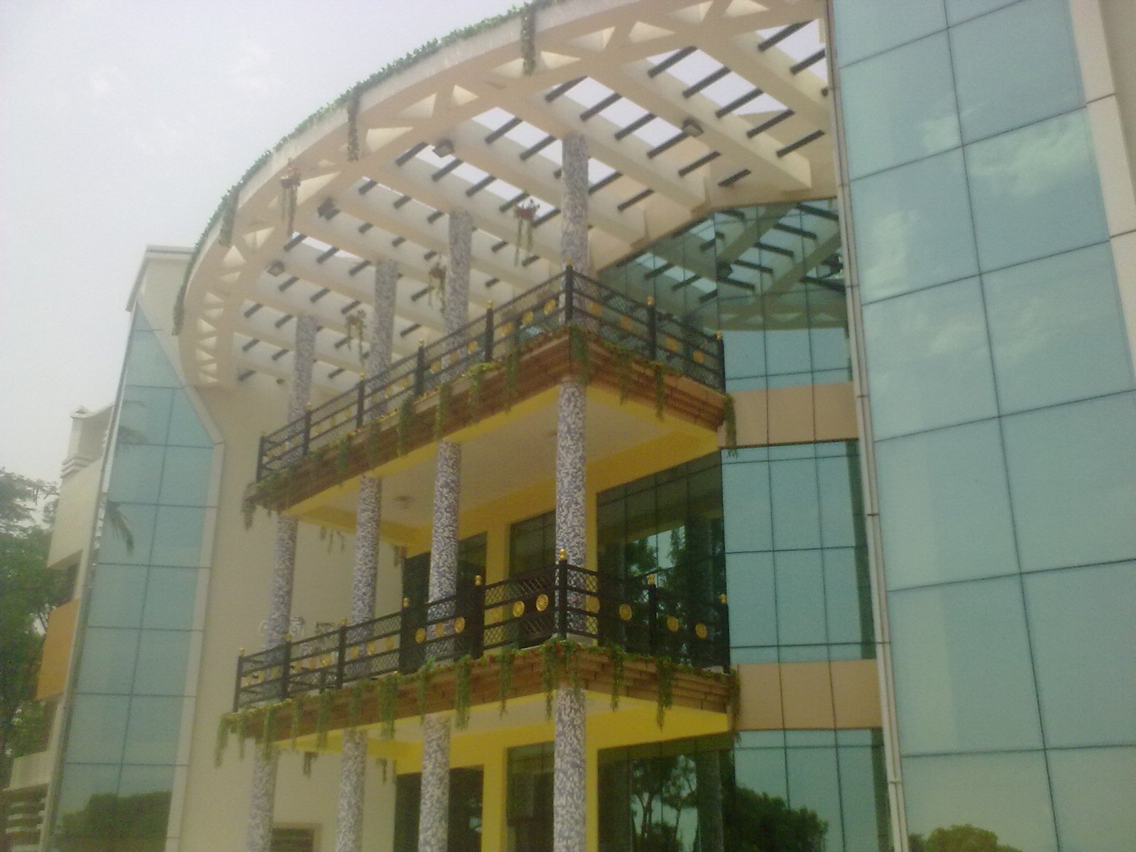 Portfolio Image