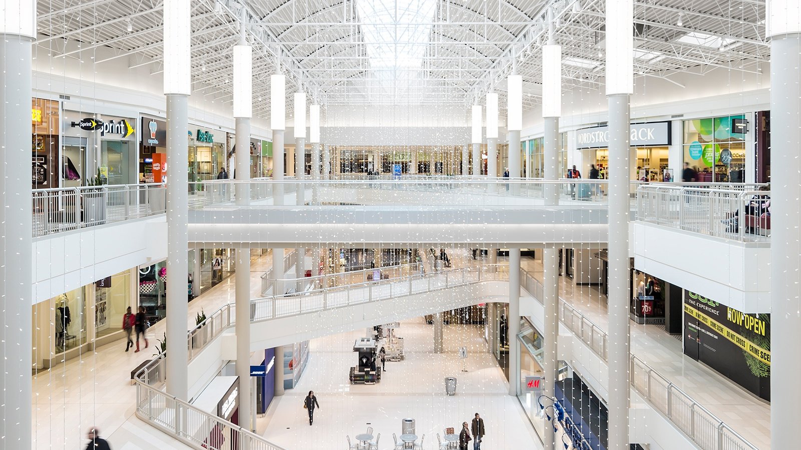 Portfolio Image